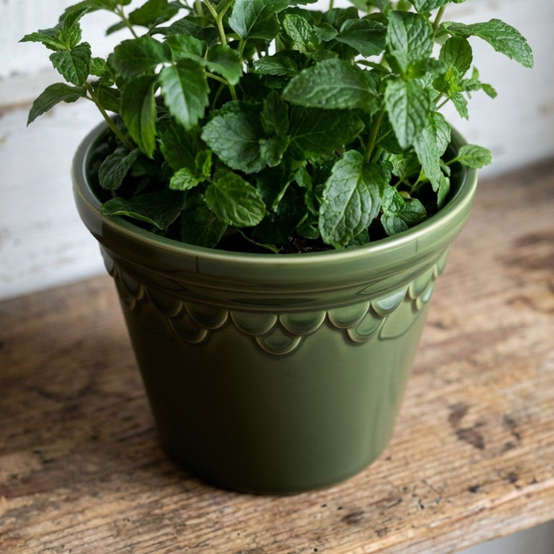 Green ceramic planter with decorative rim on a white background