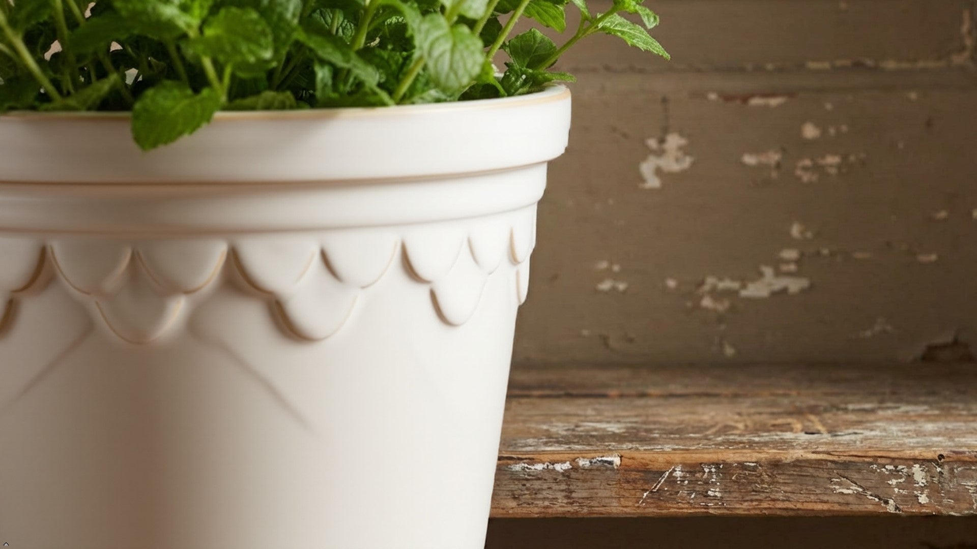 Ceramic Plant Pot with Scalloped Detail