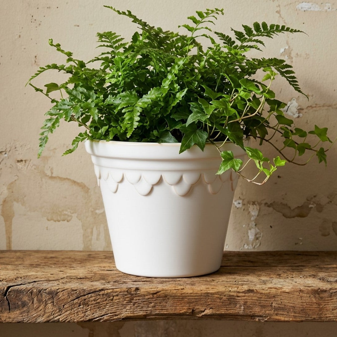 White ceramic planter with decorative scalloped edge on a white background