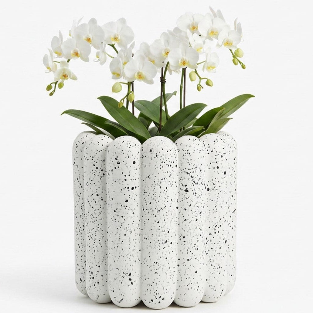 Speckled ceramic vase on a light pink background with a green leafy plant.