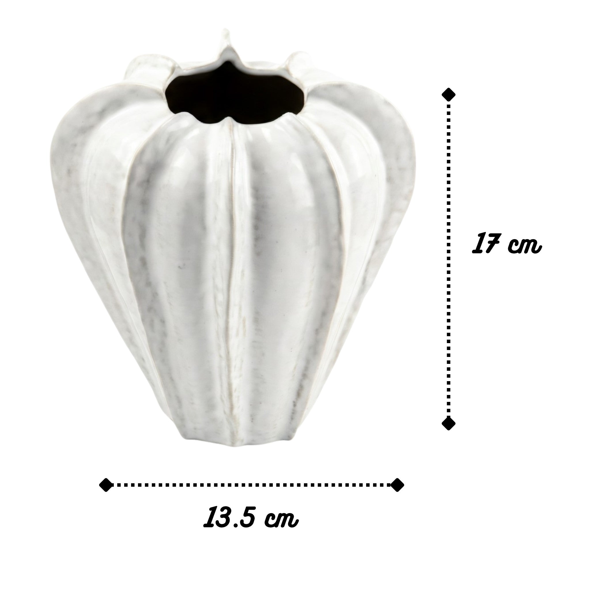 Aurette Sculpted White Decorative Vase