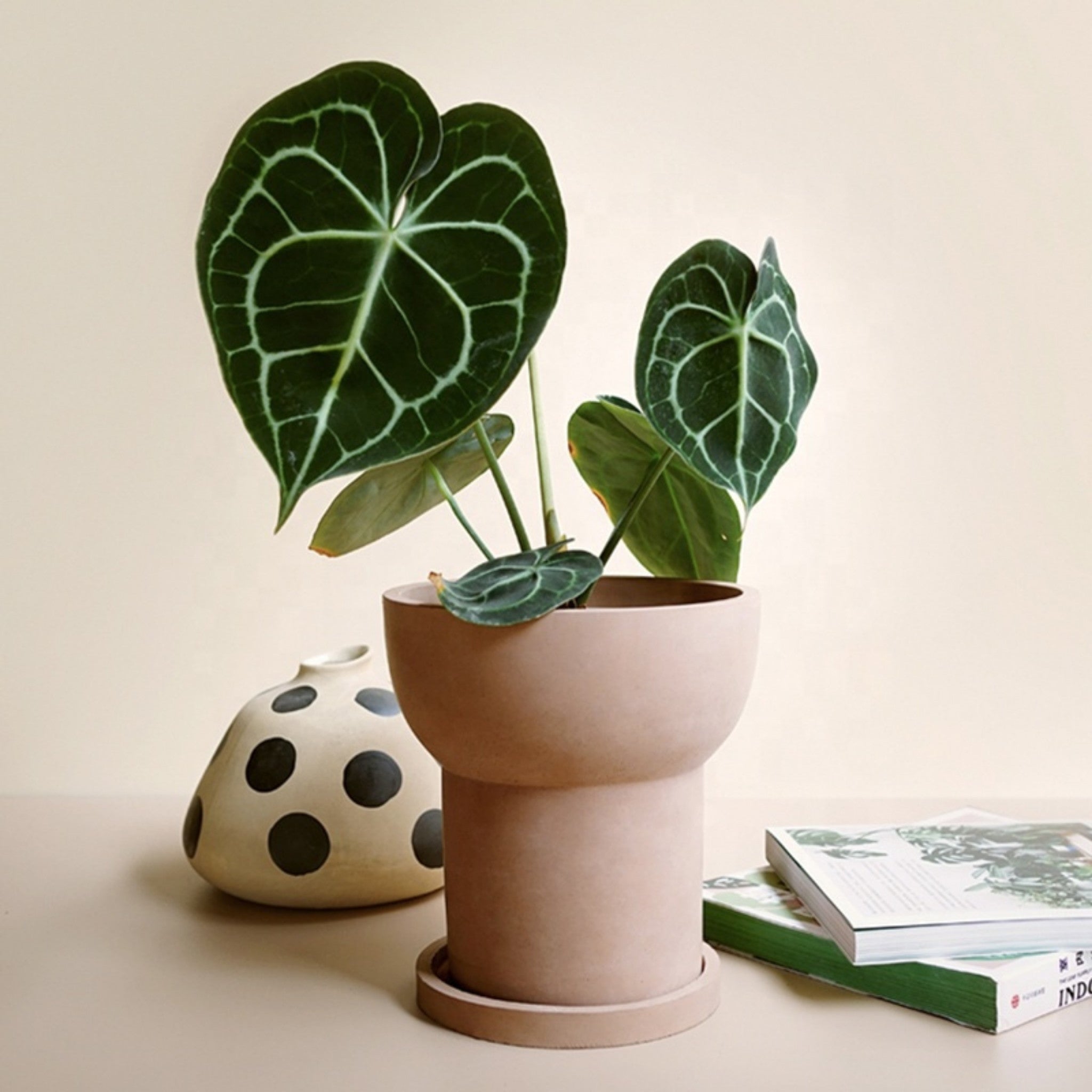 Modern Matte Terracotta Planter with Saucer