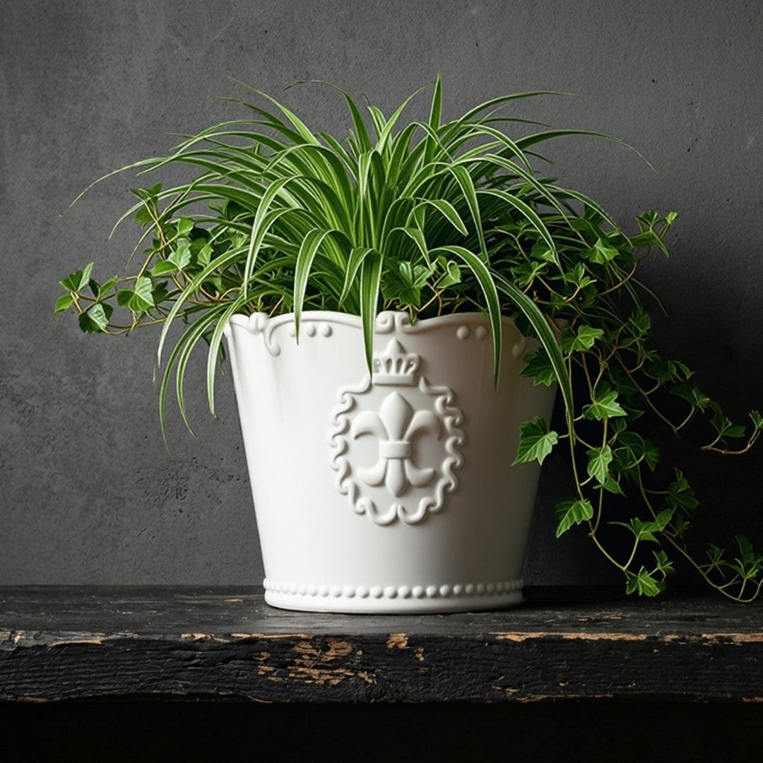 Potted plant in a decorative white container on a dark surface with a dark background