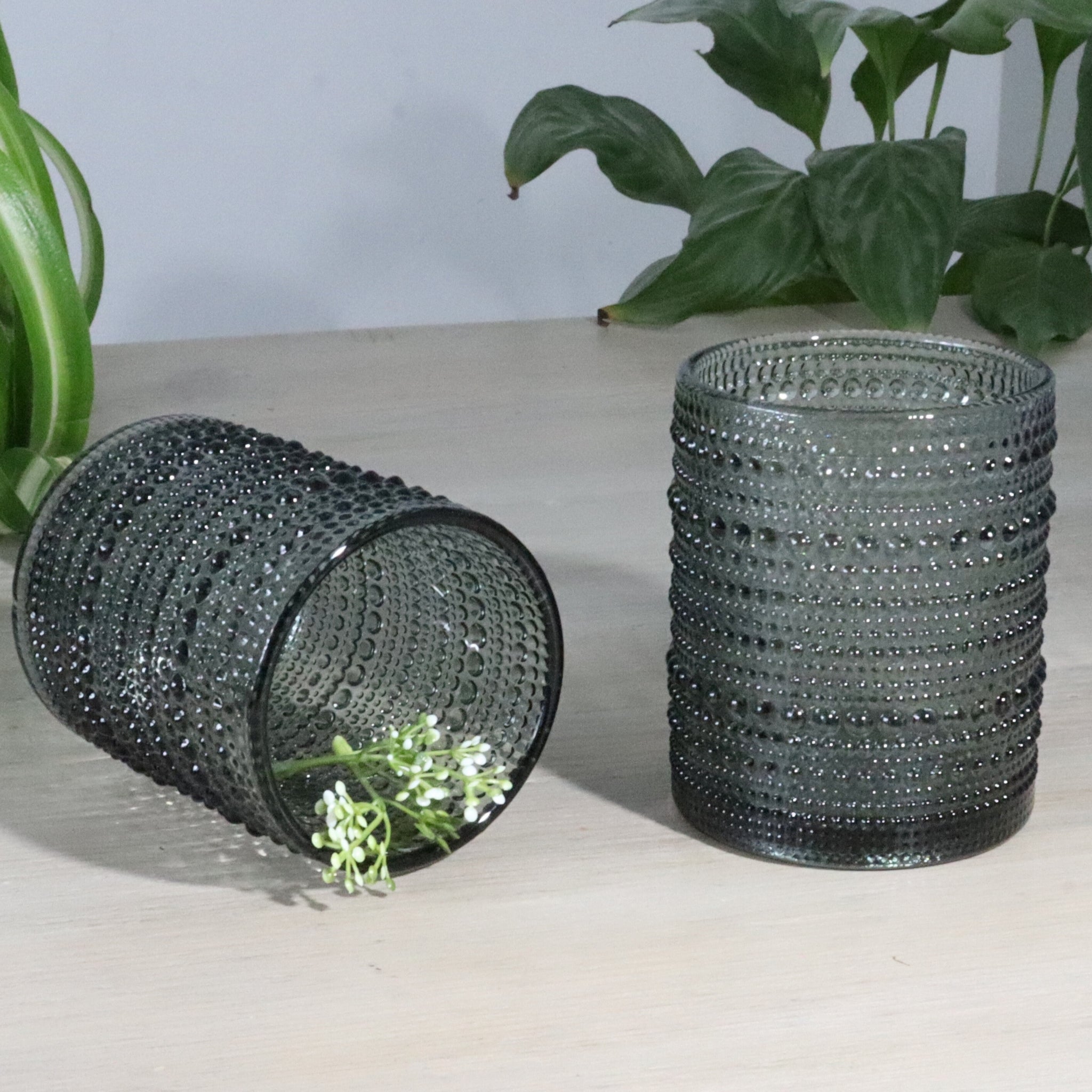 Two hobnail glass short ball glass tumblers on a light surface with green plants in the background