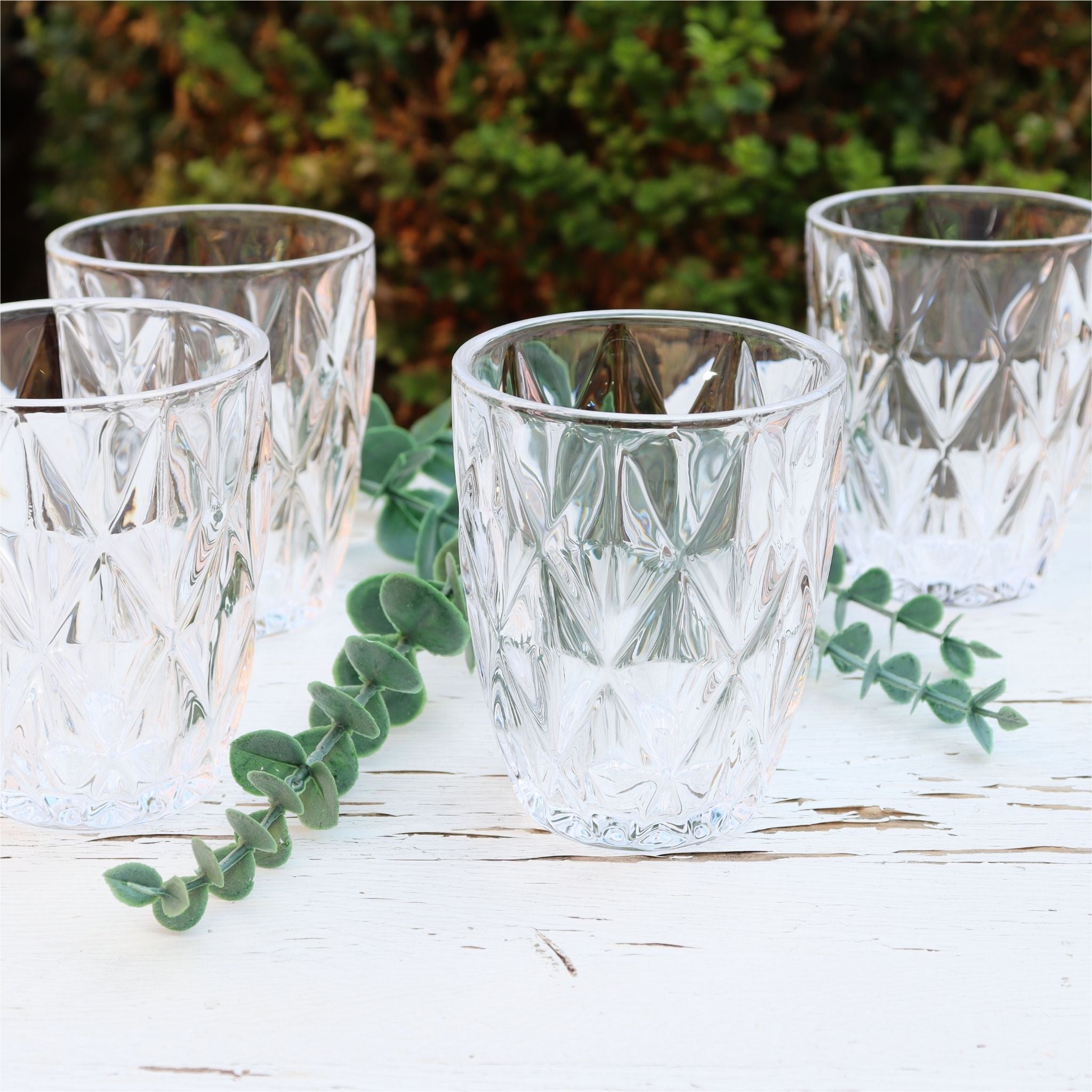 Set of clear glass tumblers on a wooden surface with greenery