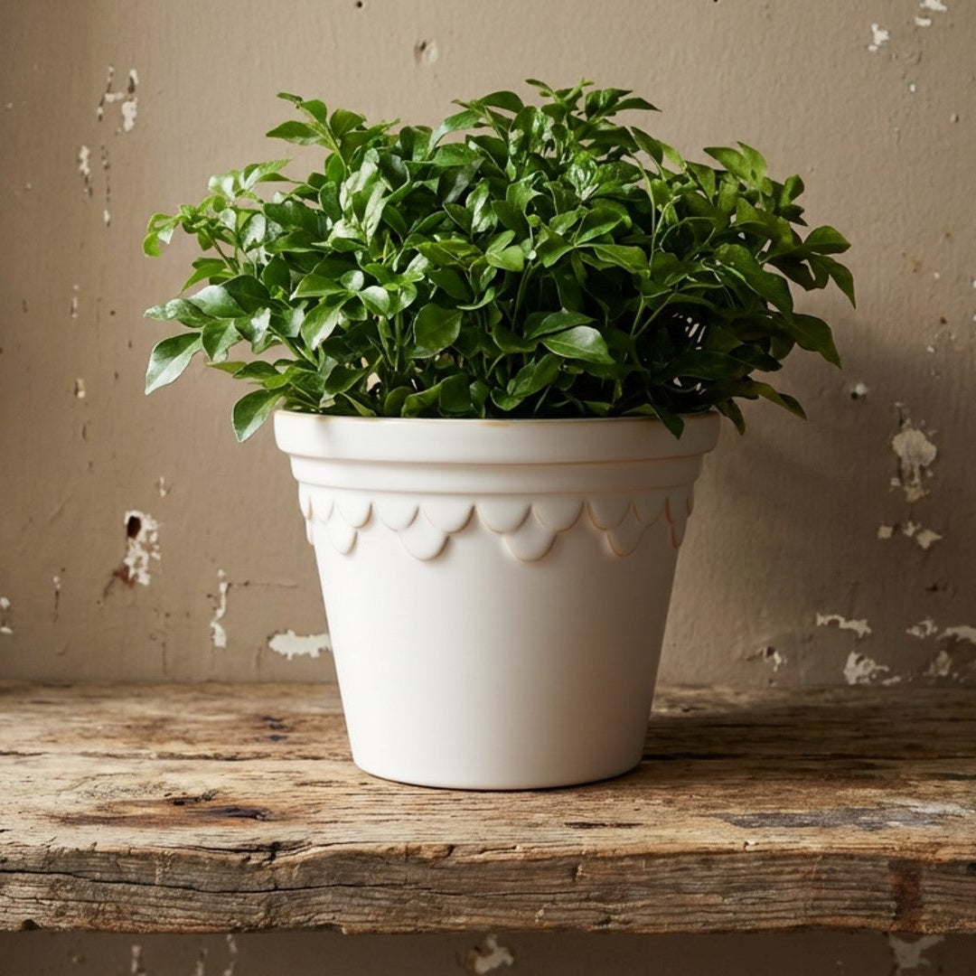 ceramic pot with decorative patterns on a white background.