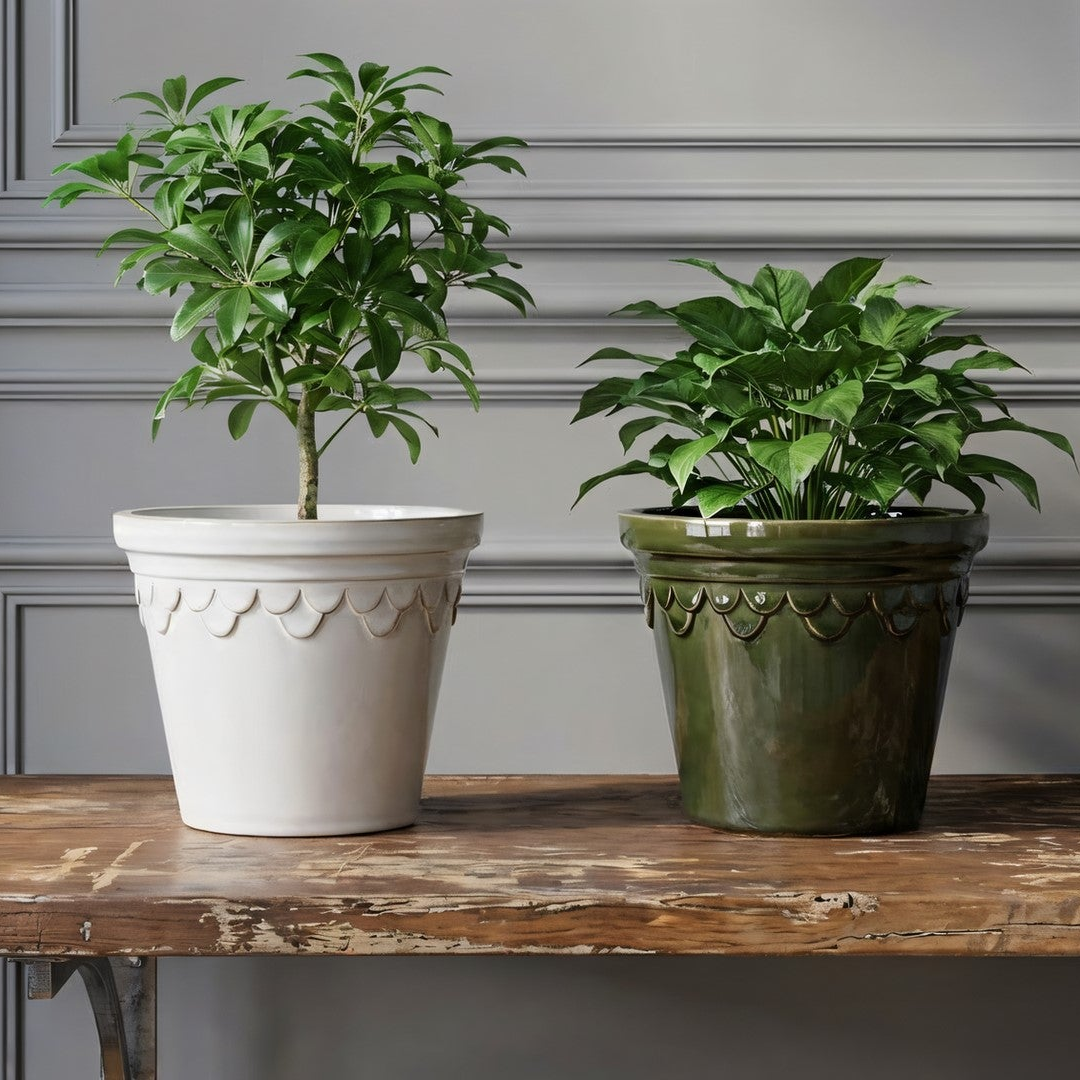 Two potted plants in decorative pots on a wooden table against a gray wall.