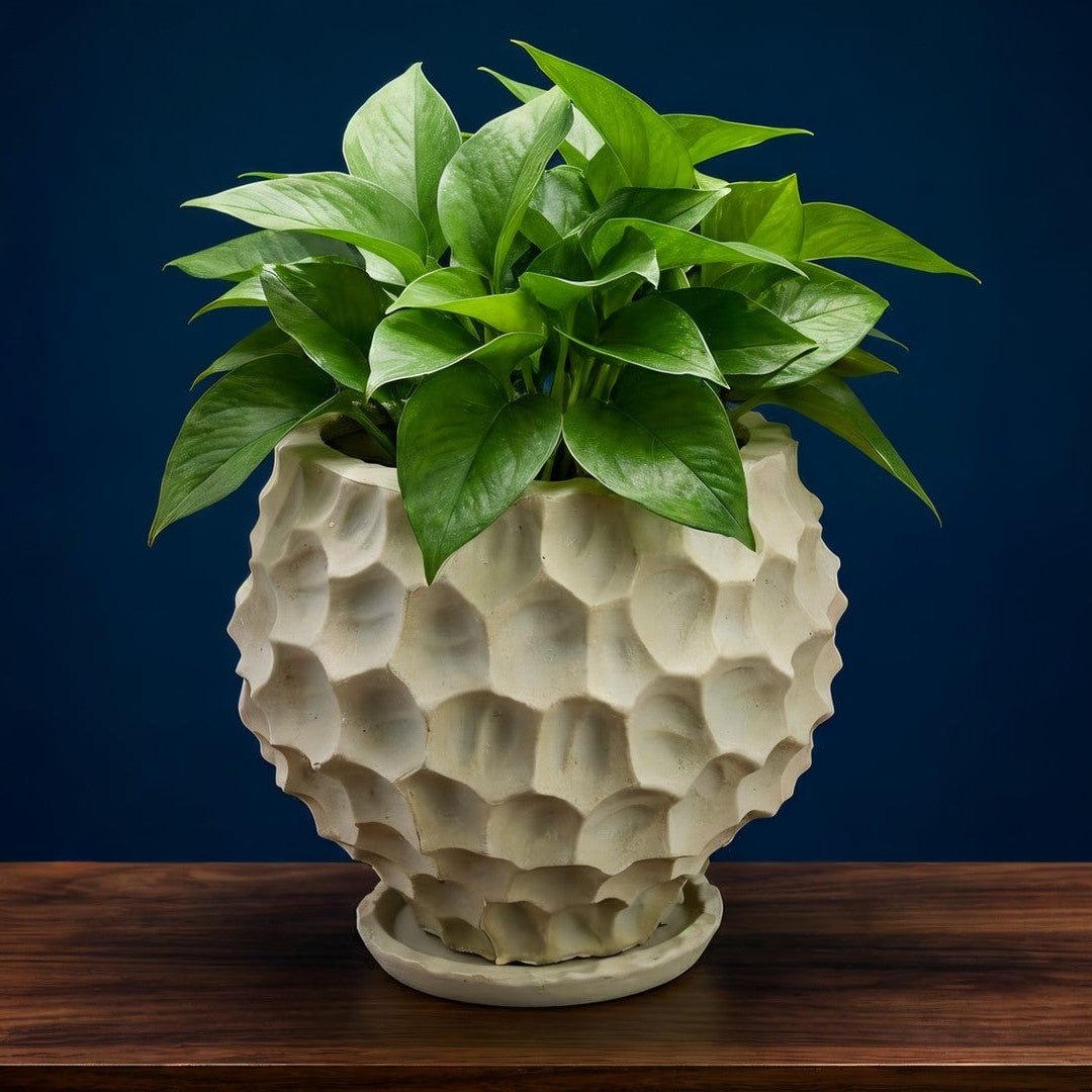 Sculpted Concrete Planter with Leaf Texture with greenery view