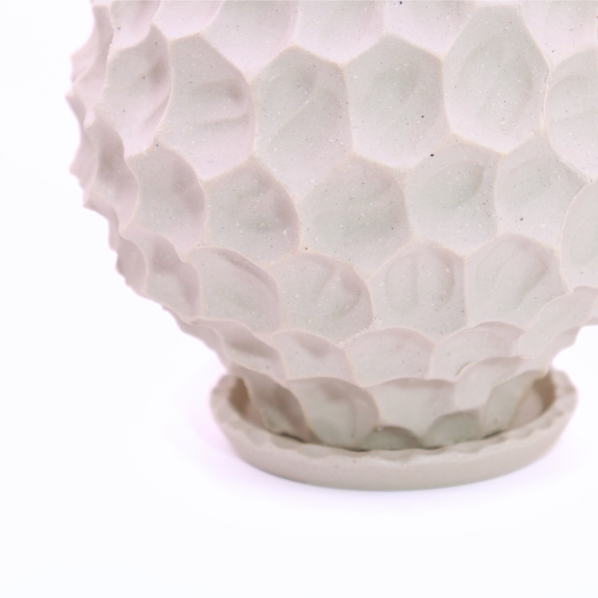 Sculpted Concrete Planter with Leaf Texture close up view