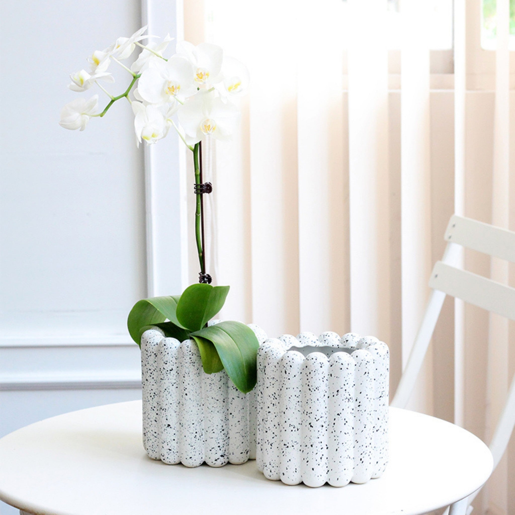 White Speckled Wavy Ceramic Planter