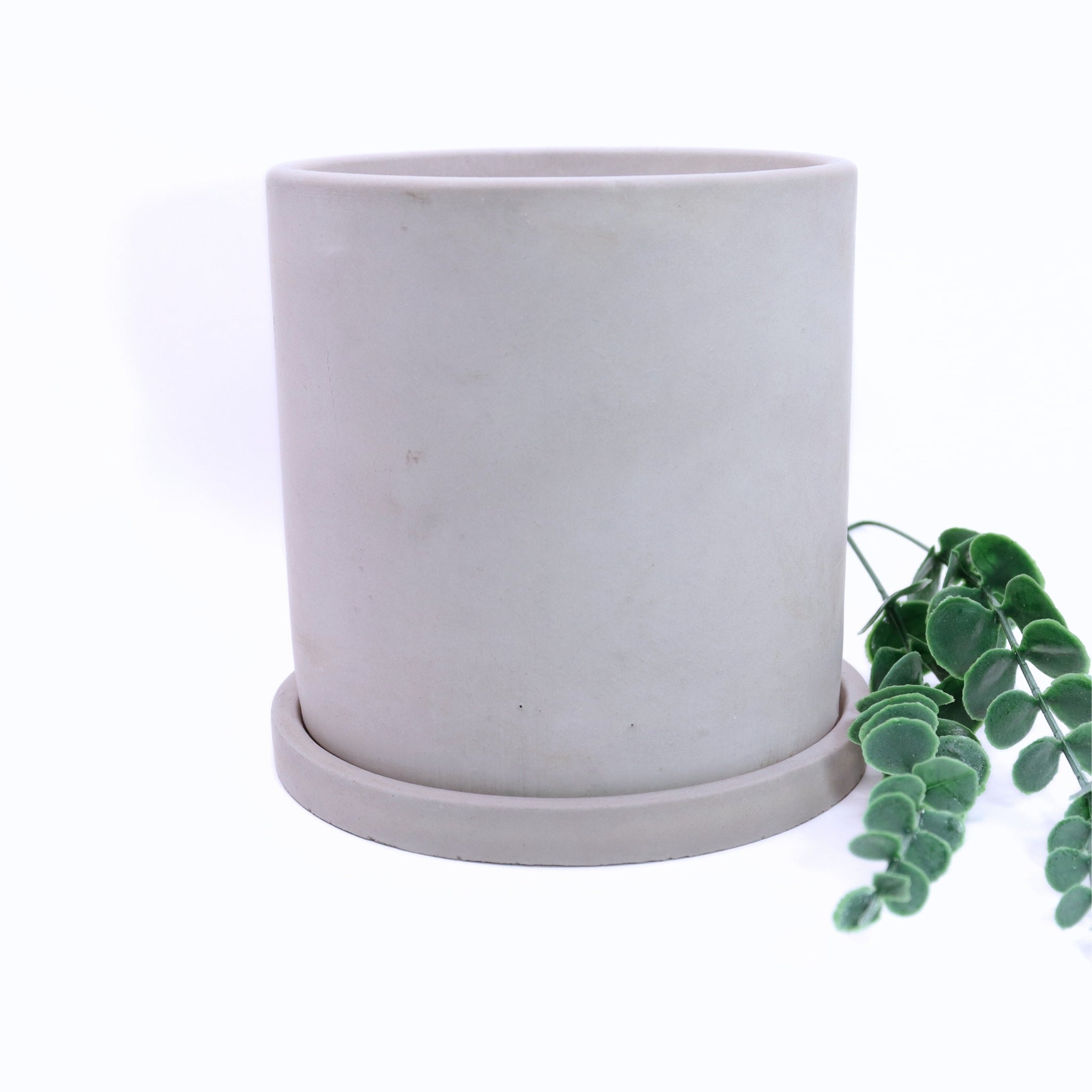 White ceramic planter with a green plant on a white background