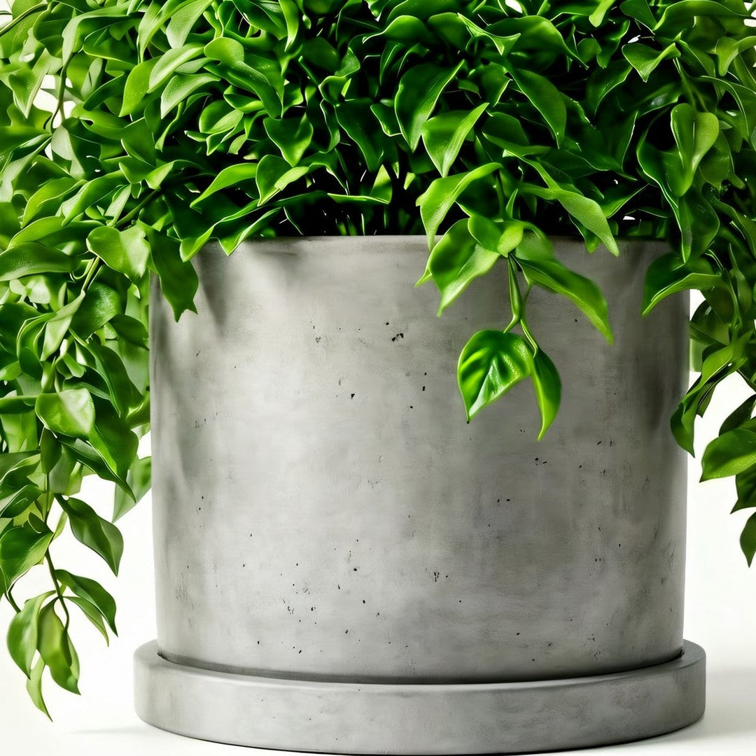 Cylindrical ceramic planter with a matching saucer on a white background