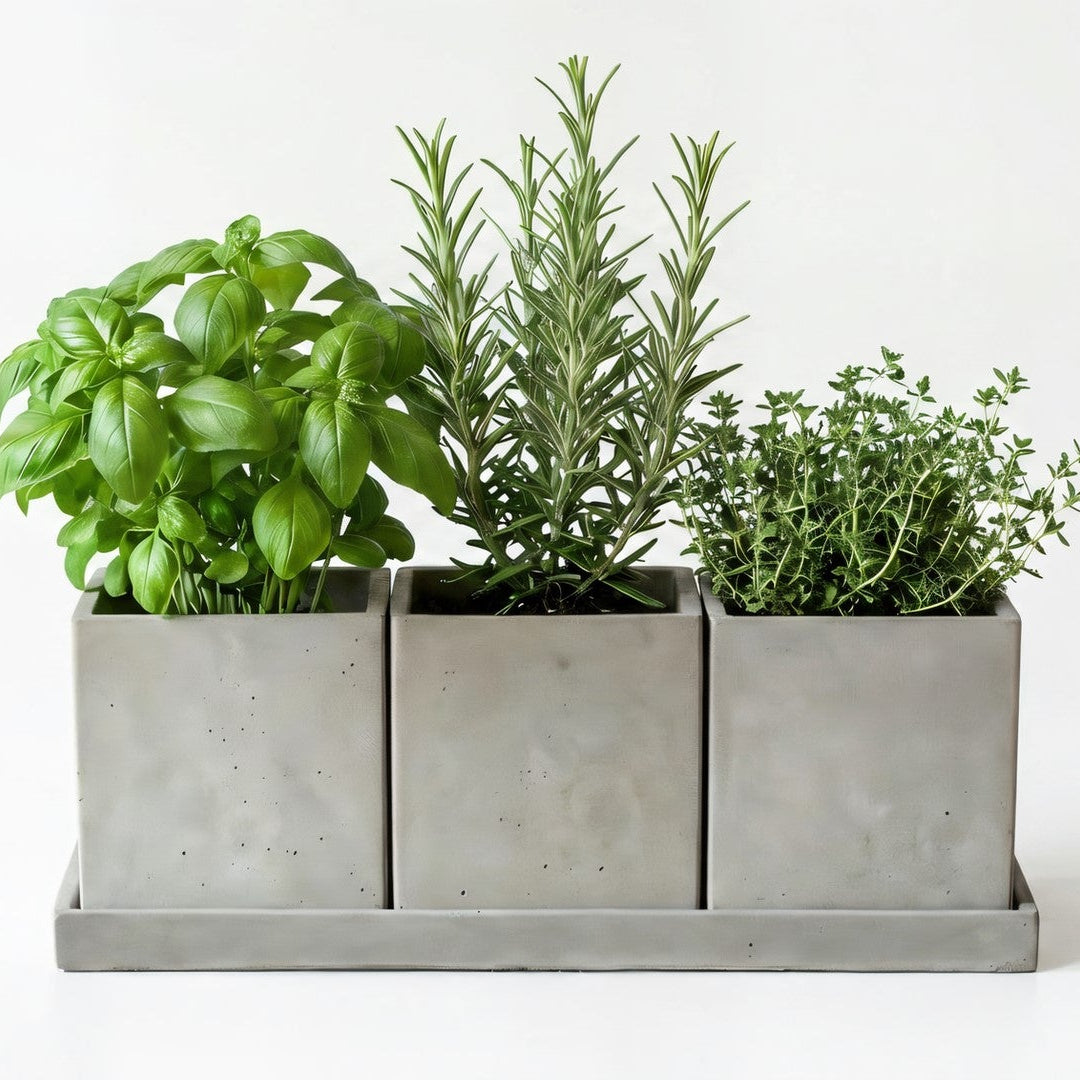 Concrete Square Planter Plant Pot Set with Tray – 3-Piece Herb & Succulent Holder