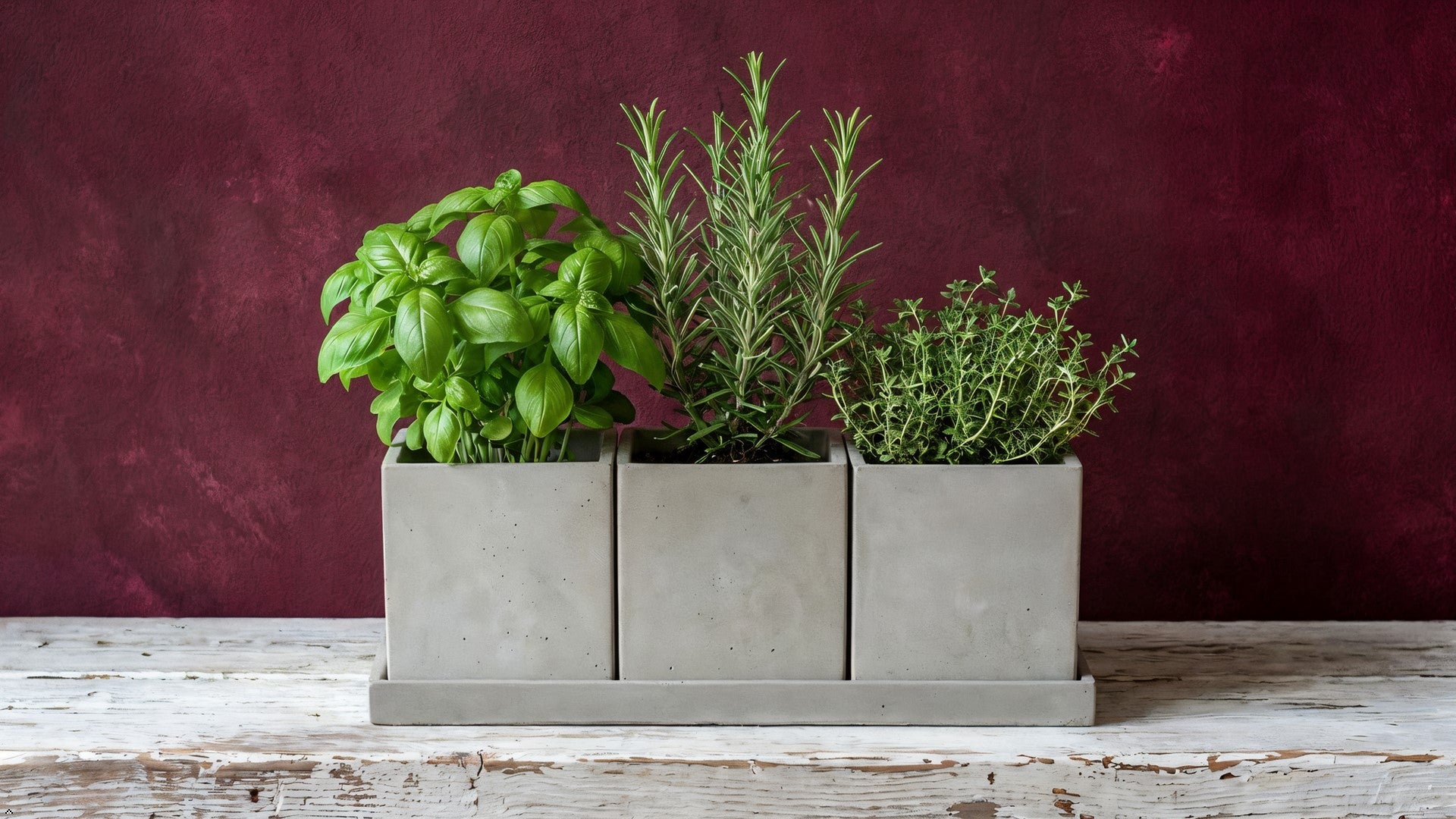 Set of three rectangular concrete planters with a matching tray on a white background.