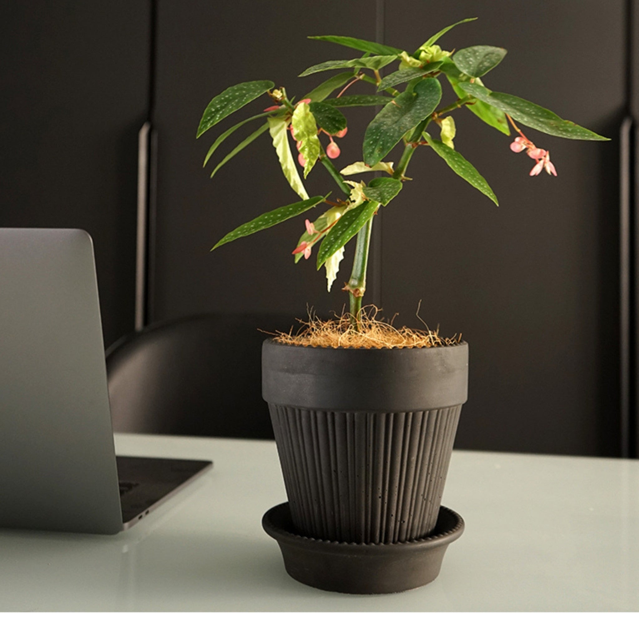 Black Textured Planter Plant Pot with Matching Saucer - Small or Large