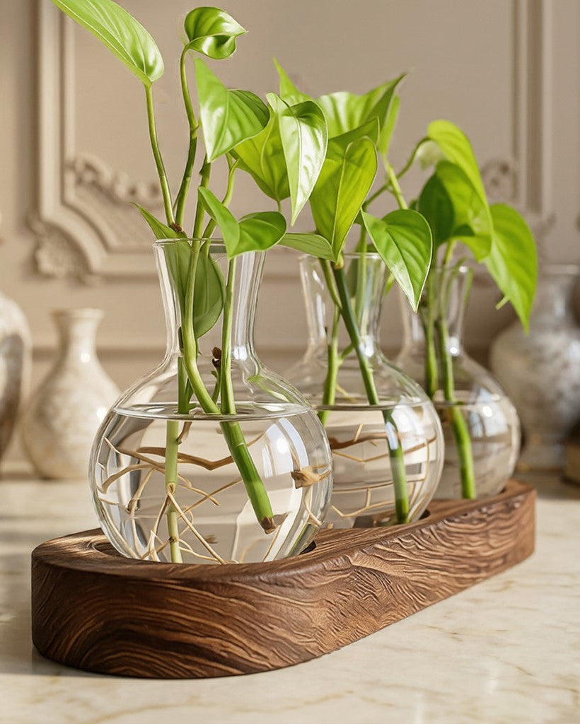 Clear glass vases with green plants on a wooden stand against a neutral wall.