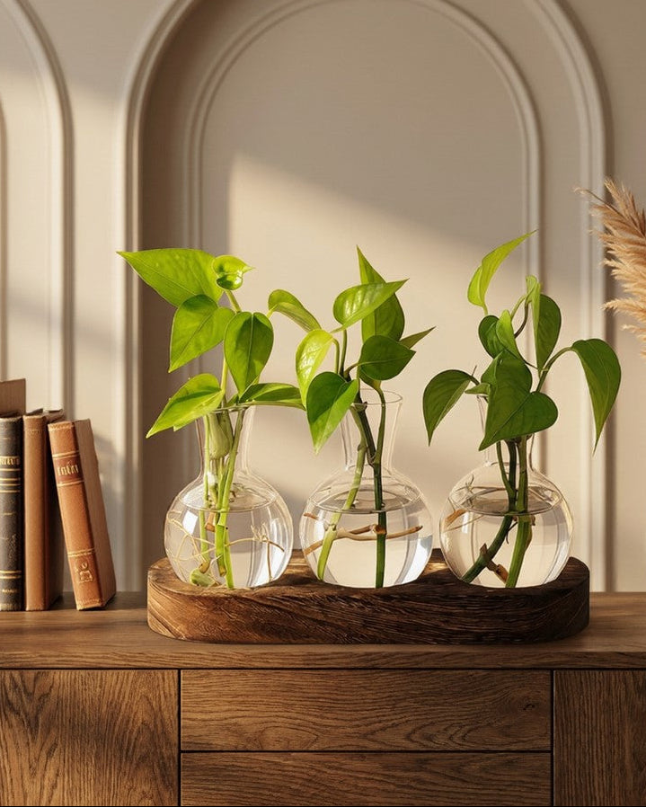 Decorative setup with plants in glass vases, a candle, and books on a wooden surface.