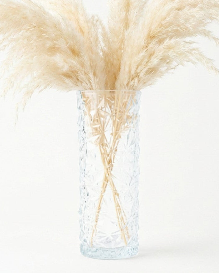 Clear glass vase with pampas grass on a white background